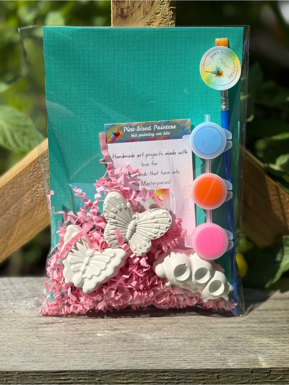 Butterfly and caterpillar paint kit